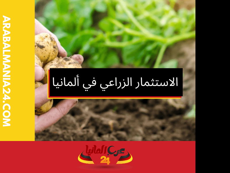 رحلة استثمارية في أراضي الزراعة الألمانية