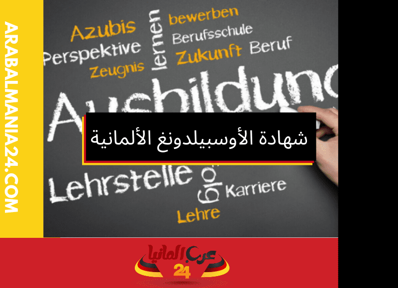 كيف تفتح شهادة الأوسبيلدونغ الألمانية أبواب العمل الدولية