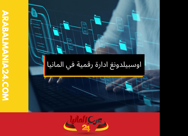 اوسبيلدونغ ادارة رقمية في المانيا