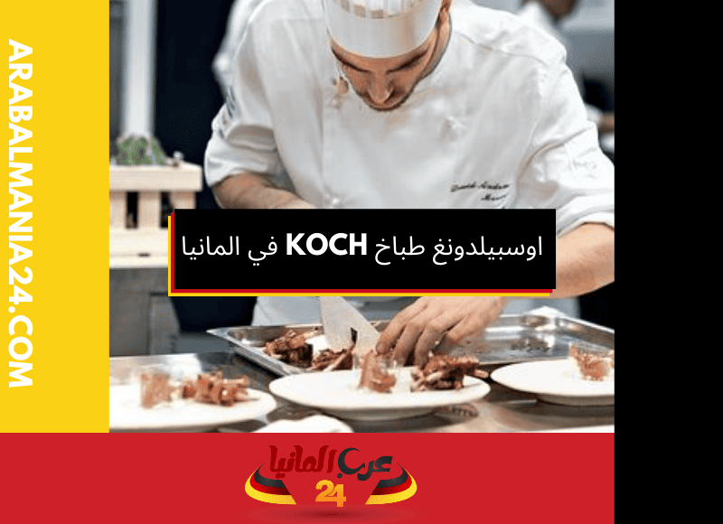 اوسبيلدونغ طباخ في المانيا Koch